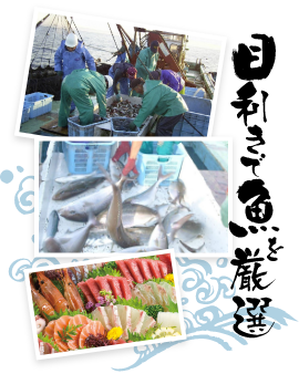 目利きで魚を厳選